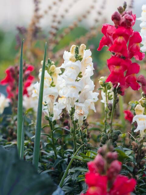 Kids activities in Amman Picture Box