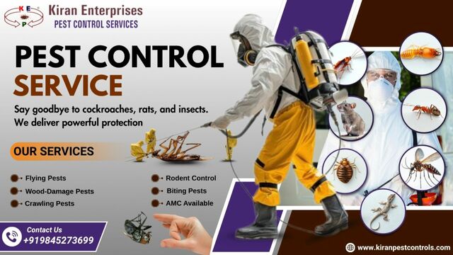 pest-control-service-in-bangalore-kiran-pest-contr Pest Control Services in Bangalore | Safe & Effective Solutions
