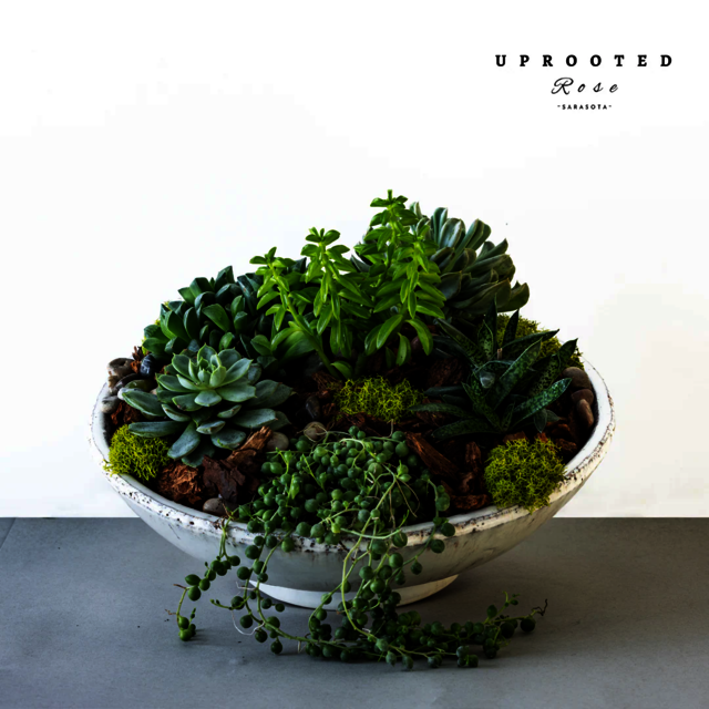 imgi 364 Green Aesthetic Flower Arrangements DIY W Uprooted Rose - Luxury Flowers Sarasota