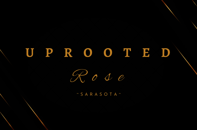 Uprooted Rose - Luxury Flowers Sarasota Uprooted Rose - Luxury Flowers Sarasota