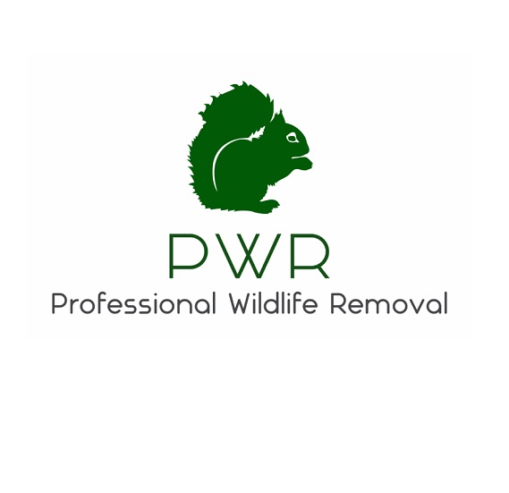 LOGO Professional Wildlife Removal