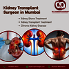 Kidney Transplant Surgeon i... - Kidney Transplant Surgeon