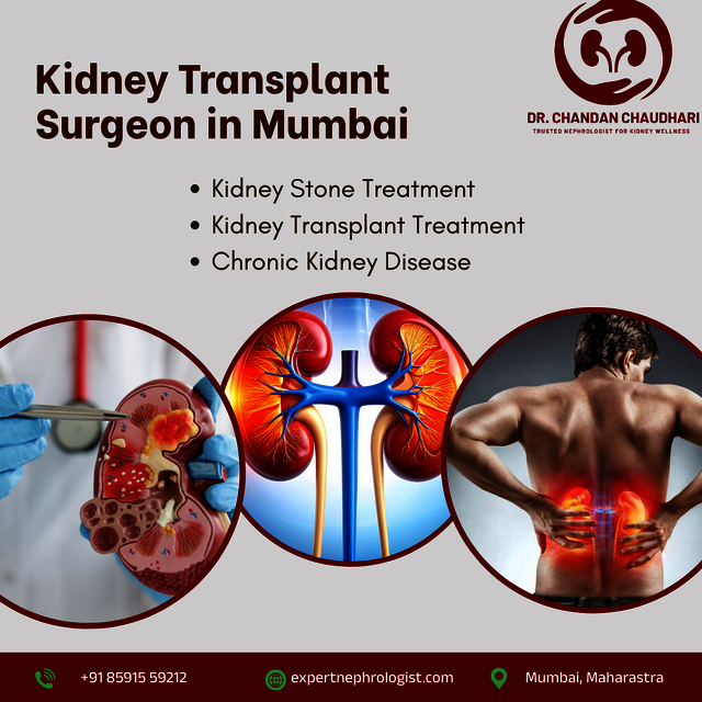 Kidney Transplant Surgeon in Mumabi Kidney Transplant Surgeon
