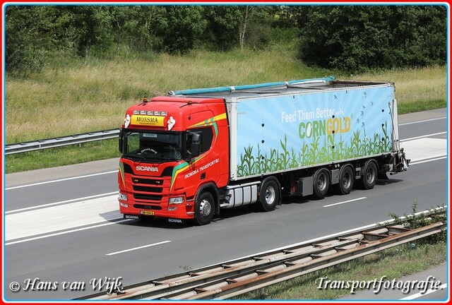 M BB-104-G-BorderMaker Walkingfloor