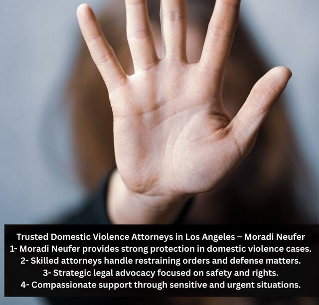 Trusted Domestic Violence Attorneys in Los Angeles Moradi Neufer - Los Angeles