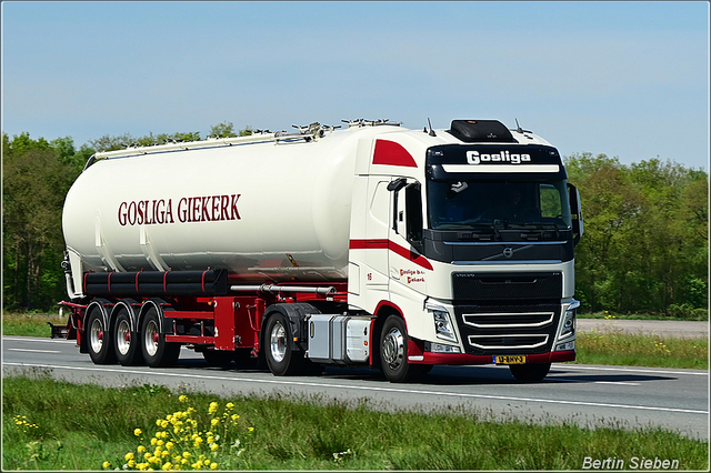 DSC 6004-border 2024-04