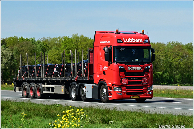 DSC 6005-border 2024-04