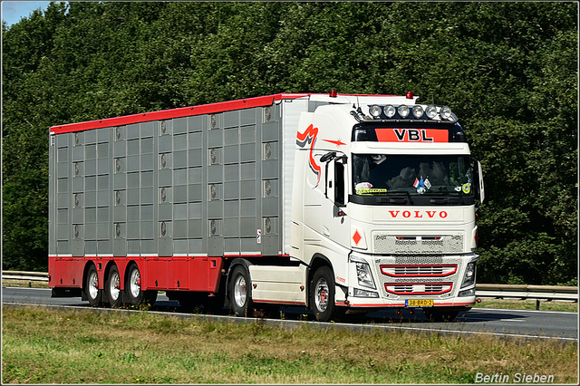 DSC 5356-border 23-08-2025