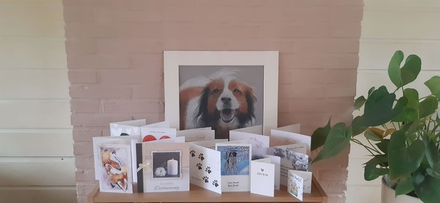 e8821fc8-486e-4a92-9e21-63c111867f62 appelbergen