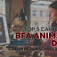top 5 careers after BFA ani... - career design school