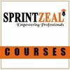 CISM certification cost and... - Sprintzeal