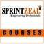 CISM certification cost and... - Sprintzeal
