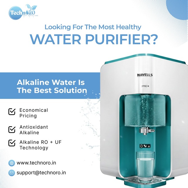 WhatsApp Image 2026-02-24 at 11.16.40 AM Picture Box