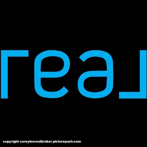 Corey Lee - Real Broker Picture Box