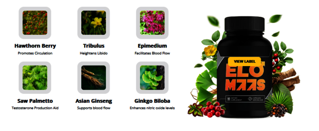 Vigorox Prime Review Vigorox Prime Reviews (Updated): Ingredients, Benefits, Side Effects & Price