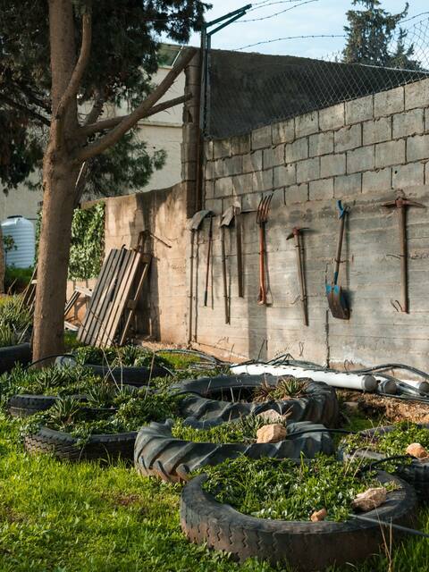 Family activities Amman Picture Box