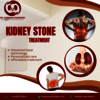 Kidney stone  treatment in ... - Kidney Transplant Surgeon