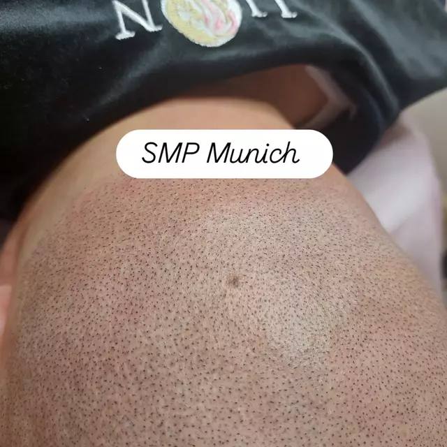 Haarpigmentierung Studio München Picture Box