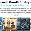 PAPUBLISHING (1) - Business Growth Strategies