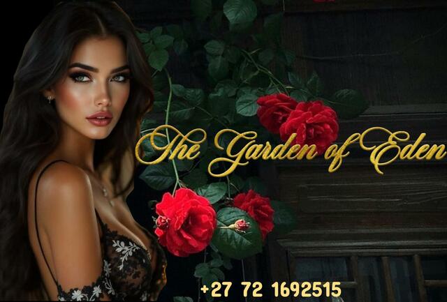 Premium Escort Services in Cape Town Picture Box