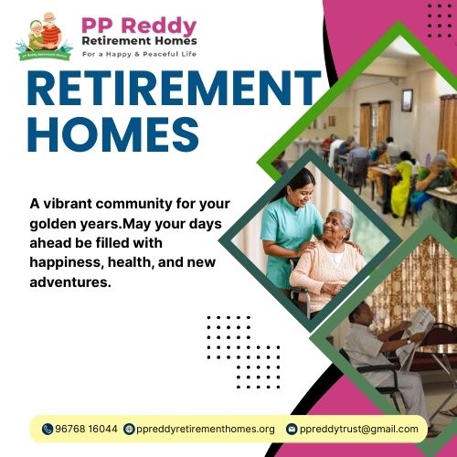 Website Development (23) Picture Box