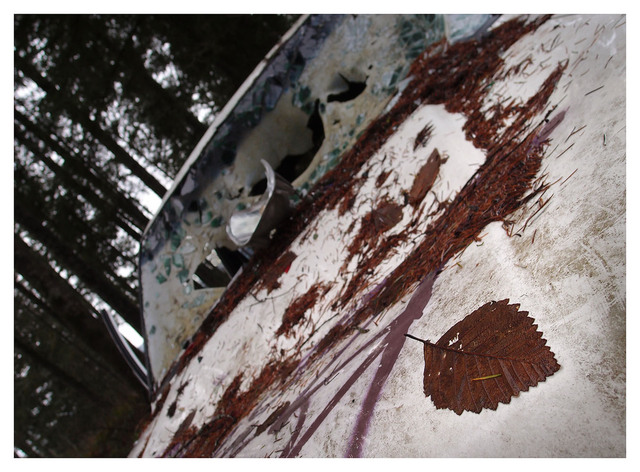 Abandoned 2025 8 Abandoned