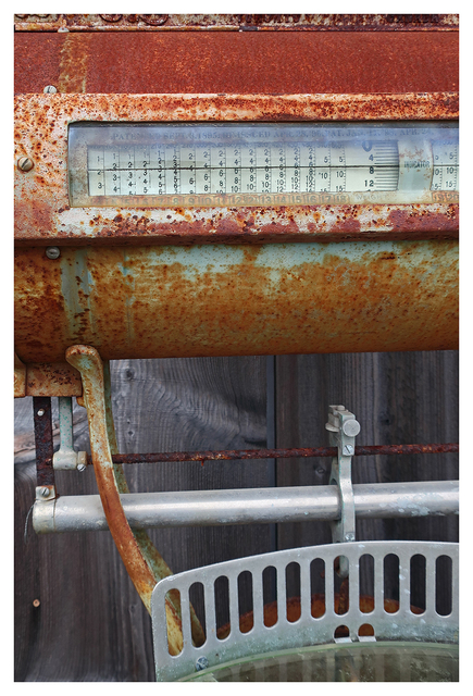 Rusty Things 2025 9 Vancouver Island