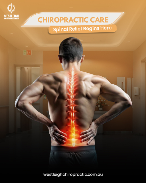 Chiropractic Care You Can Trust westleighchiropractic