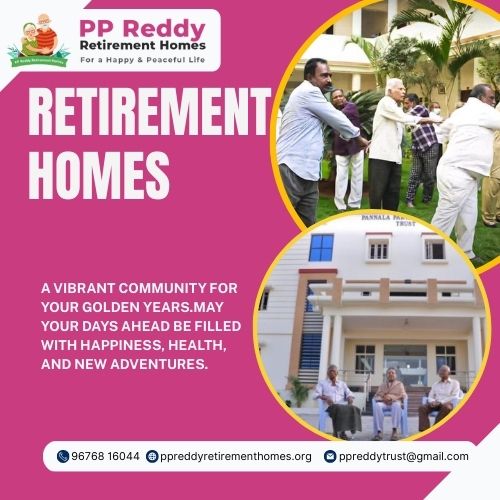 Website Development (18) Picture Box