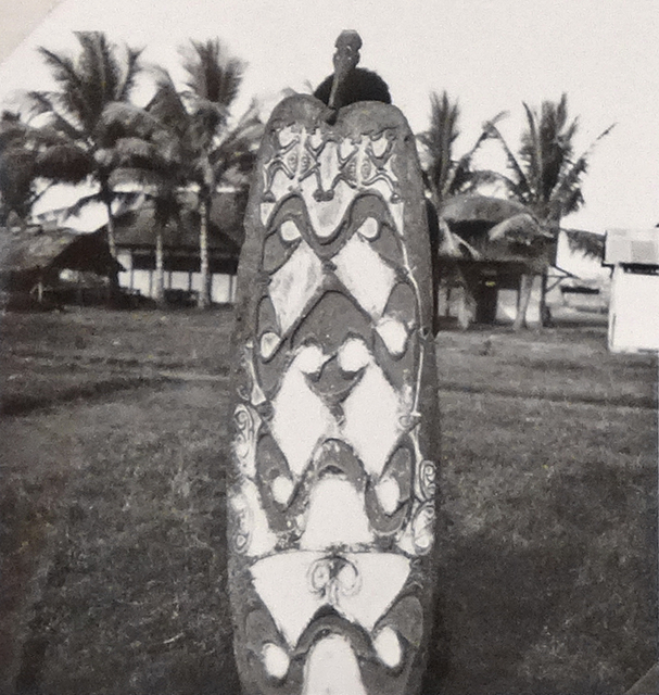 20216 Serie BIV-2315  Asmat schilden etnografica