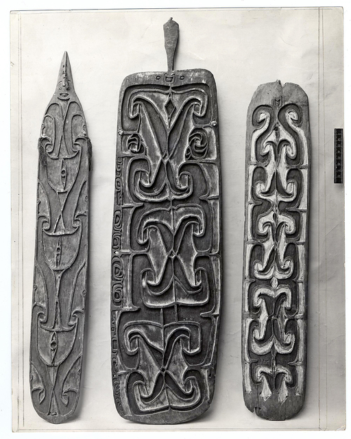 343691001 etnografica