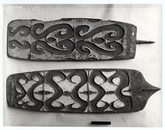 343692001 etnografica