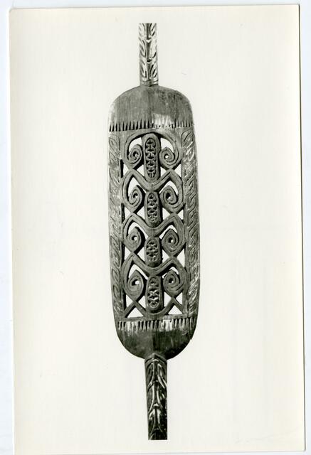 579893001 etnografica