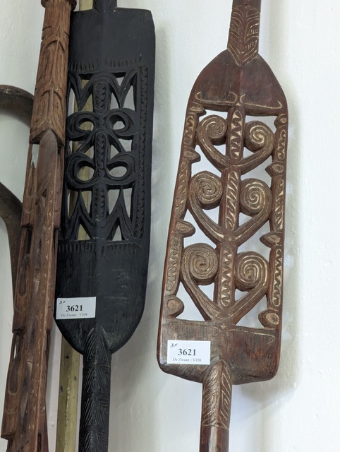 PXL 20230429 121004927 etnografica