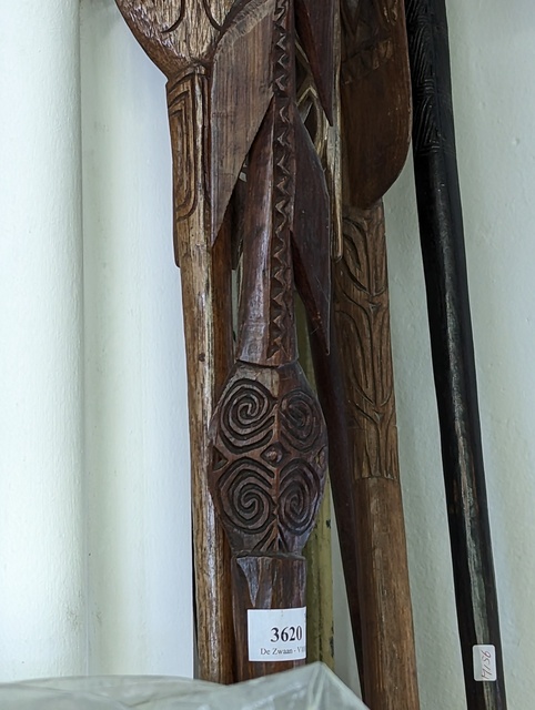 PXL 20230429 121016748 etnografica