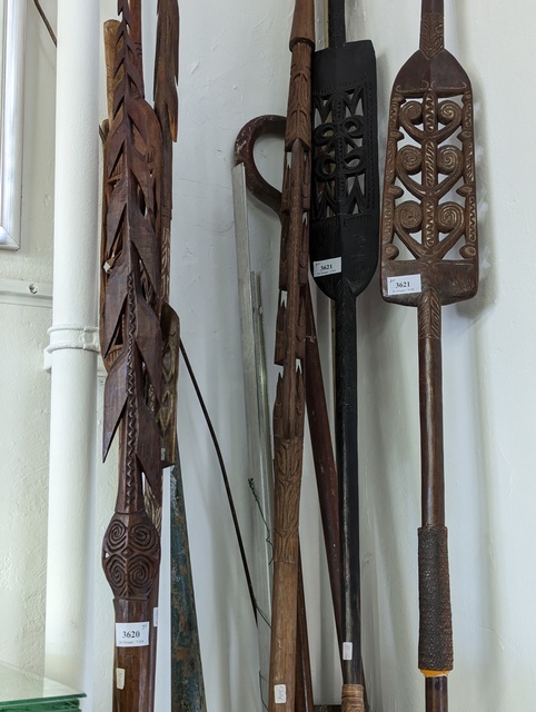 PXL 20230429 121039552 etnografica