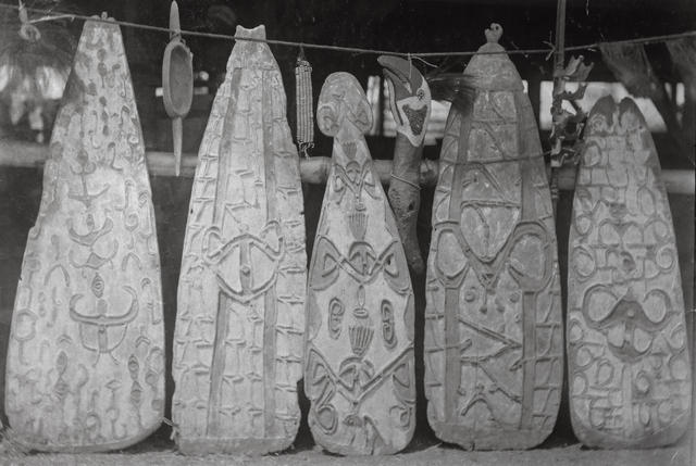 10210 Doos 3  - Asmat schilden en andere artefacte etnografica