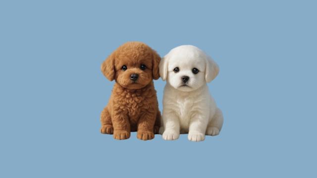 64fcc5e40112037316da62d72d049ac5 Digital Doggo: Meet the Future of Virtual Pets