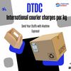 DTDC banner - International courier service