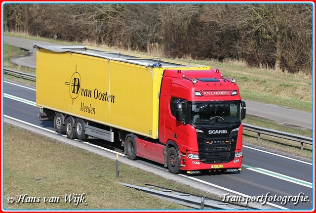 L BB-393-H-BorderMaker Walkingfloor