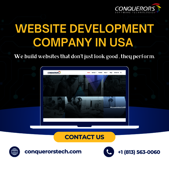 Website Development Company in USA  Picture Box