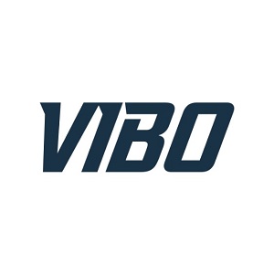 Logo Vibo Electric Inc.