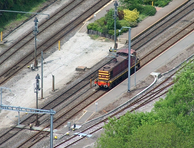 HPIM1549 livebeelden