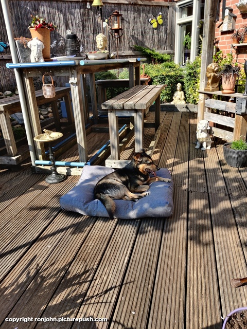 Dolly in de zon 22-03-26 Garden 2023 & 2024 & 2025 & 2026