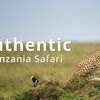 Imara Kileleni Safaris - Picture Box
