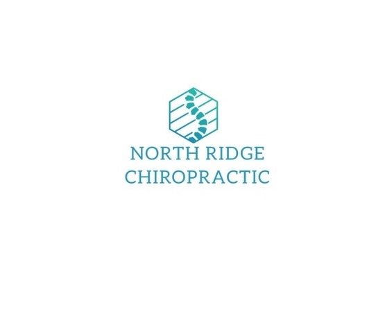 logo North Ridge Chiropractic