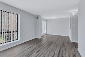 What Are the Best 3 Bedroom Apartments For Rent in Picture Box