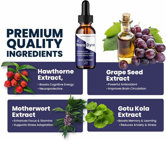 71ITRL7FluL. AC SL1500  NeuroDyne: Smart Brain Support