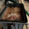 full grease trap cleaning - Walnut Creek Grease Trap Se...