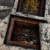 grease trap cleaning - Walnut Creek Grease Trap Se...